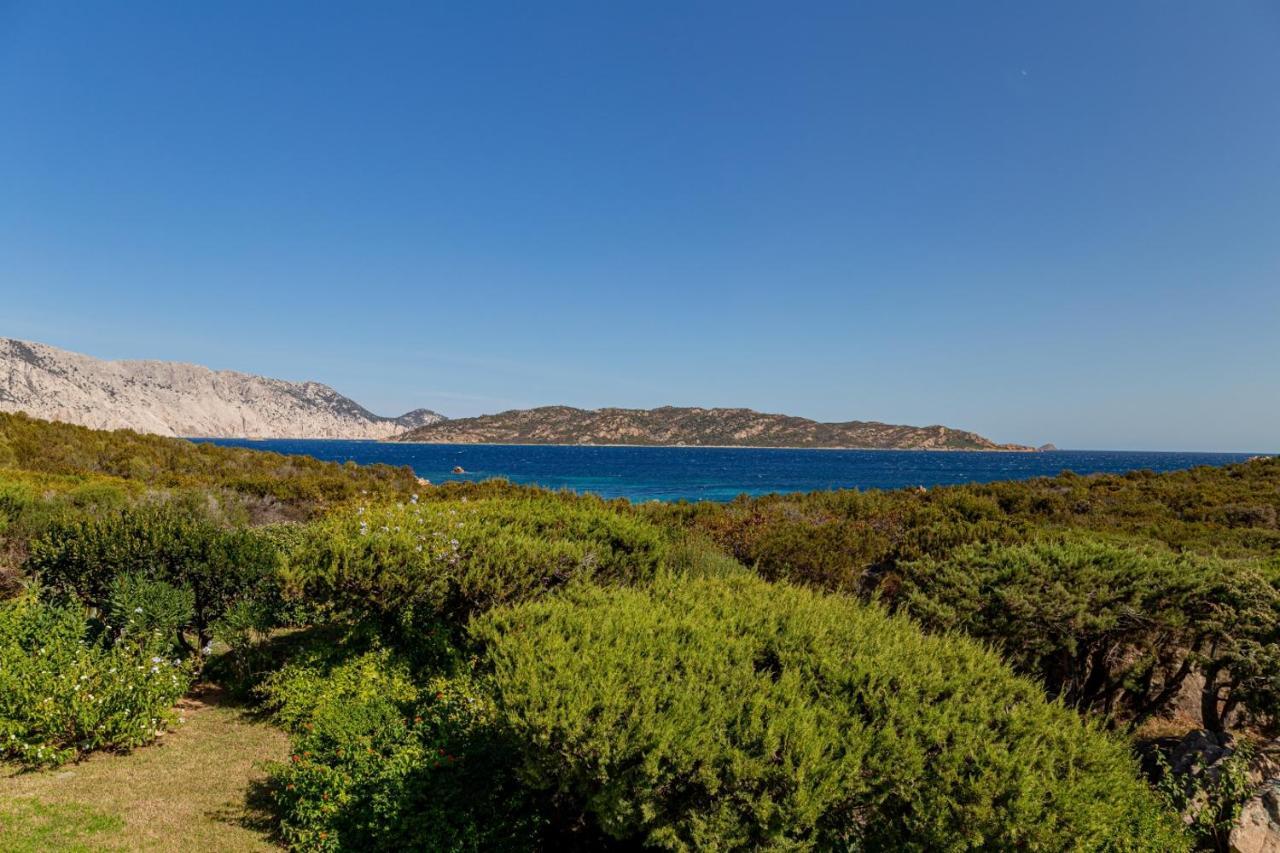Appartamento Cala Paradiso San Teodoro  Buitenkant foto